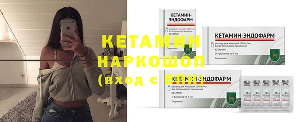 прущие грибы Балахна