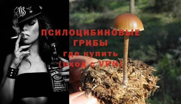прущие грибы Балахна