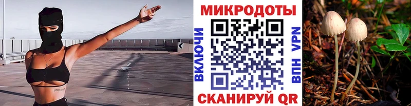 ссылка на мегу ссылка  Омутнинск  Галлюциногенные грибы Cubensis 